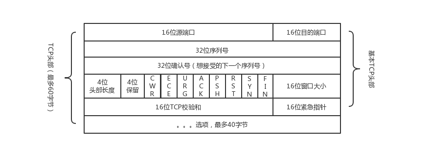TCP头部结构
